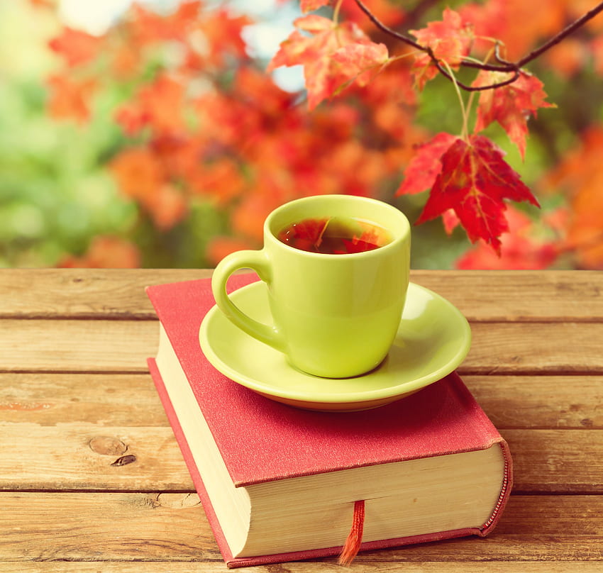 Tea and Books, Autumn Coffee HD wallpaper | Pxfuel