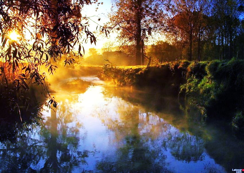 แสงแห่งรุ่งอรุณ แม่น้ำ รุ่งอรุณ แสง พุ่มไม้ ต้นไม้ ฤดูใบไม้ร่วง น้ำ ป่า วอลล์เปเปอร์ HD