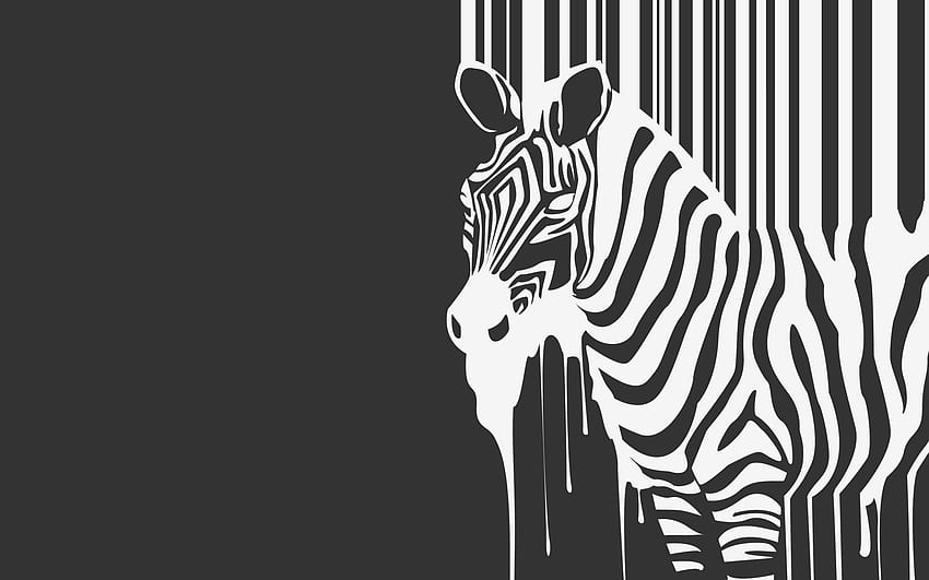 Zebra, Minimalism, Stripes, Beast, Strips, Flows, Flowing HD wallpaper