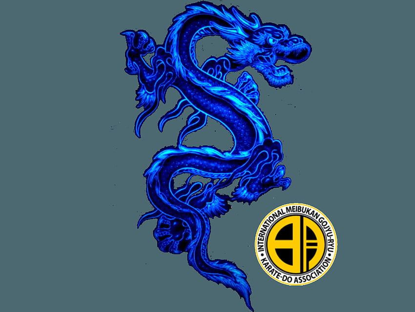Blue Dragon Meibukan Karate–Newmarket – 今までにない空手!, Japanese Blue Dragon 高画質の壁紙