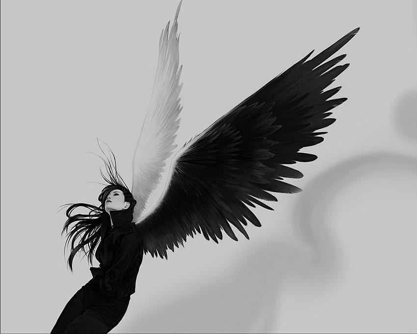Black and White Angel from Angels . Dark angel, Angel , Angel art HD wallpaper