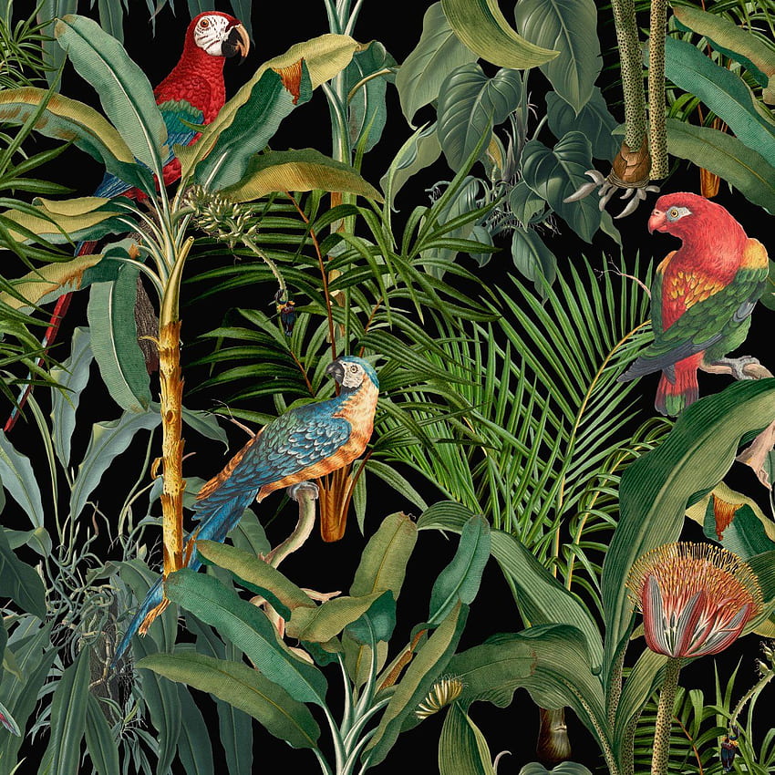 Parrots of Brazil Anthracite – Storeen, Brazilian Art HD phone wallpaper