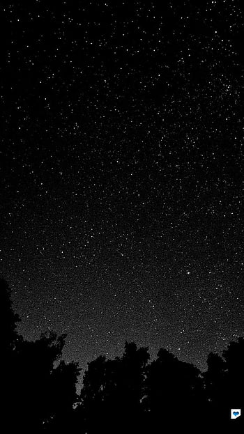HD wallpaper andromeda black white galaxy star  space night  astronomy  Wallpaper Flare