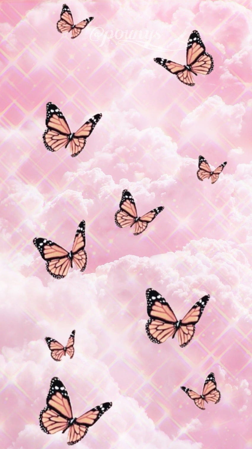 Butterfly, Pink Butterfly HD phone wallpaper