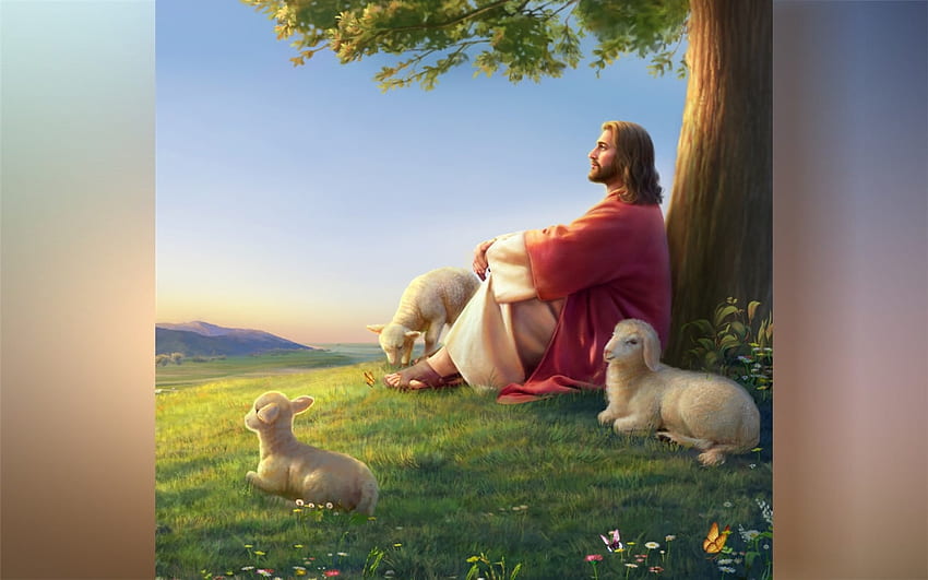 Исус - добър пастир, Христос, Исус, добър пастир, овца, дърво HD тапет