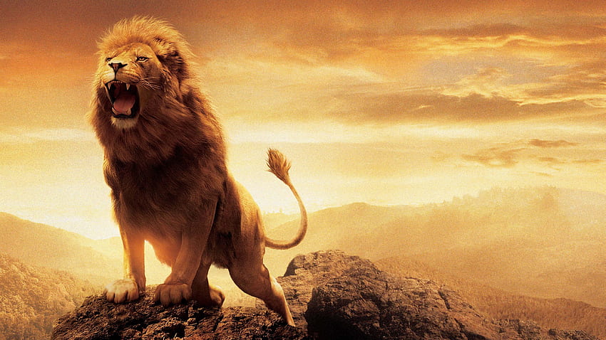 Lion King Roar, Lion Roaring Ultra HD тапет