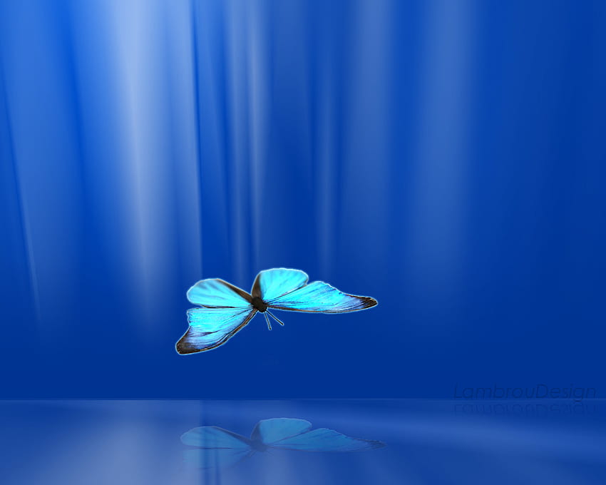 High Quality Dynamic - Aqua Blue Butterfly Beautiful - - HD wallpaper