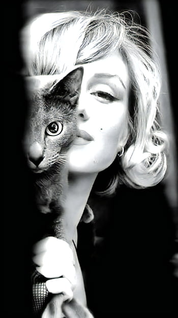 Marilyn Monroe, u, Hollywood, gato, vintage, gato, Fondo de pantalla HD del teléfono