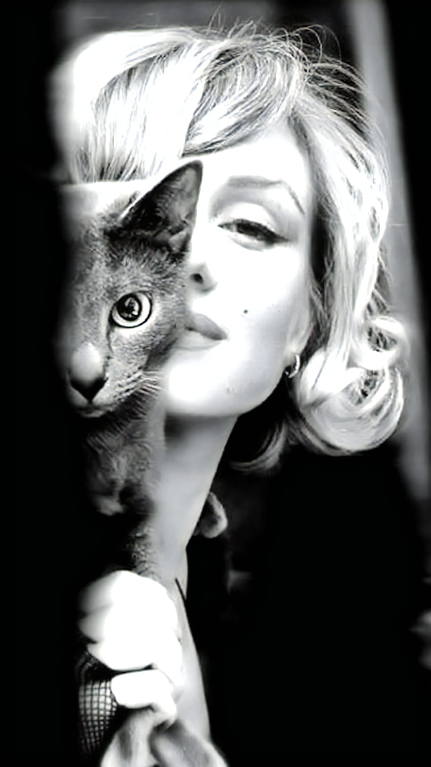 Marilyn Monroe, u, Hollywood, gato, stare filmy, , kot Tapeta na telefon HD