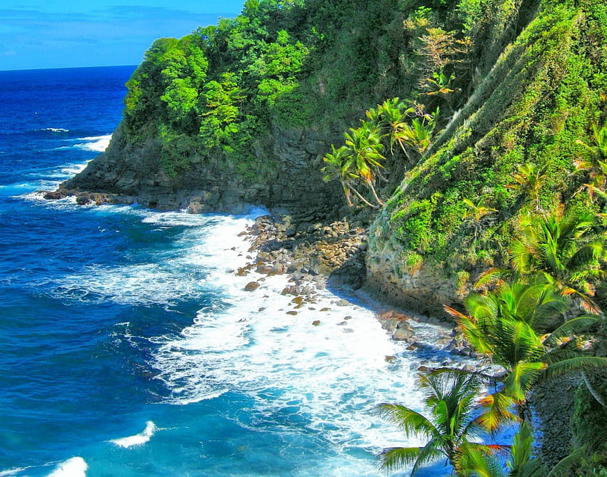Beautiful Seashore, blue, palms, white, cove, Dominica, beautiful, morning view, Caribbean Sea, green, trees, cliff, islands HD wallpaper