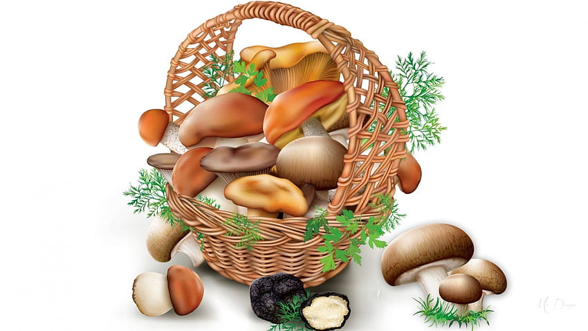 Basket of Mushrooms, basket, toadstools, mushrooms, food, Firefox Persona theme, fungus, edibles HD wallpaper