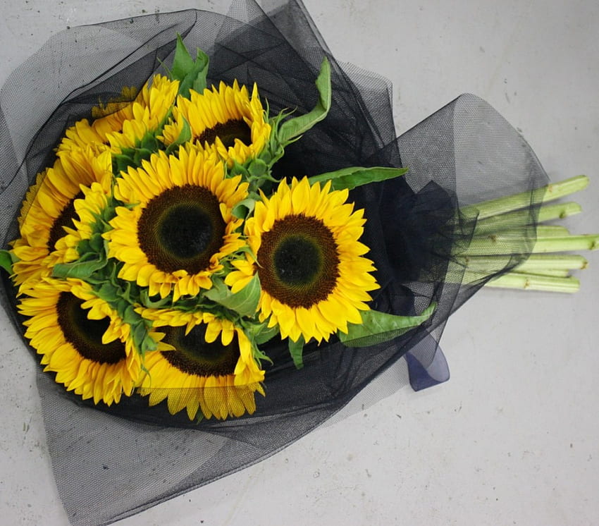 รักซันนี่ ซันไชน์ ซันนี่ ช่อดอกไม้ สีดำ ความบันเทิง งดงาม การจัดการ พิเศษ ทานตะวัน แฟชั่น สีน้ำตาล ความรัก สีเหลือง ตลอดไป วอลล์เปเปอร์ HD