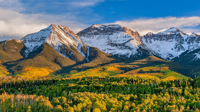 緑の黄色の美しい秋の木々 の森雪をかぶった山の斜面白い雲青空背景自然 高画質の壁紙