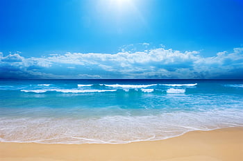Wallpaper sand sea beach summer the sun shell beach sand seashell  images for desktop section природа  download