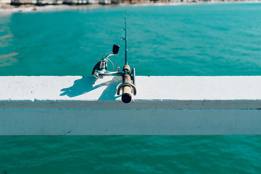 Gone fishing : HD wallpaper