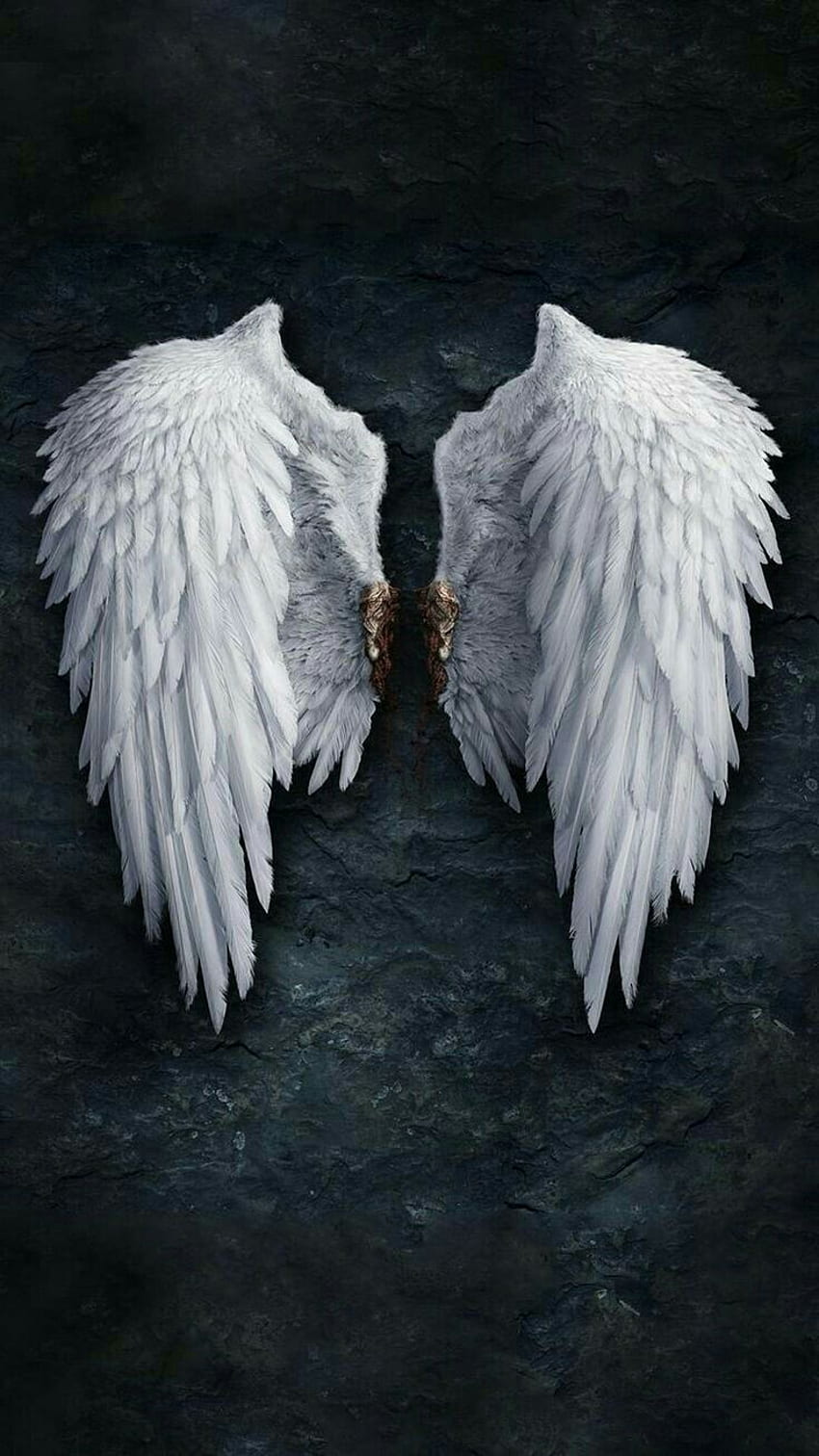 Fotos para Capas - Anjos. Angel wings , Angel wings background, Angel wings, Black and White Angel HD phone wallpaper