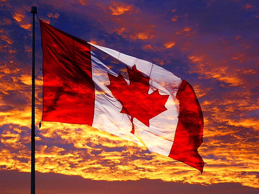 Szczęśliwego Dnia Kanady - 1 lipca, liść klonu, złoto, flaga, lipiec, dzień Kanady, chmury, niebo, czerwony i biały, zachód słońca Tapeta HD