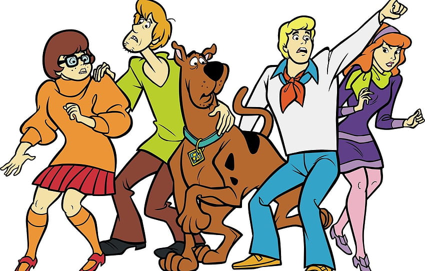 Çizgi Film, Daphne, Scooby Doo, Shaggy, Fred, Velma For , Bölüm фильмы HD duvar kağıdı