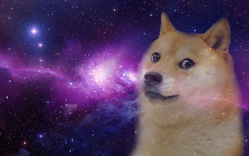 Doge Hohe Auflösung für, Weltraumhund HD-Hintergrundbild