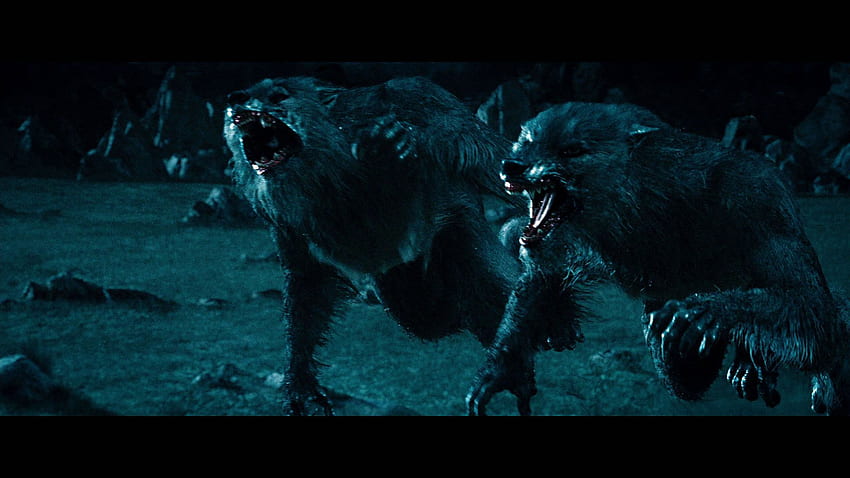 Lycan. Werewolf, Underworld movies, Underworld HD wallpaper