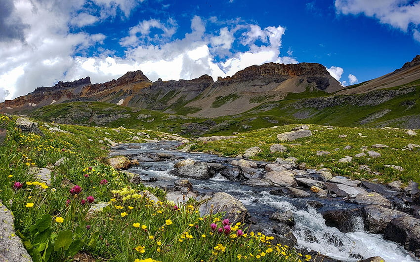 산 후안 산맥, 콜로라도 남서부, 하늘, 꽃, 초원, 풍경, 구름, 미국 위로 굴러가는 구름 HD 월페이퍼