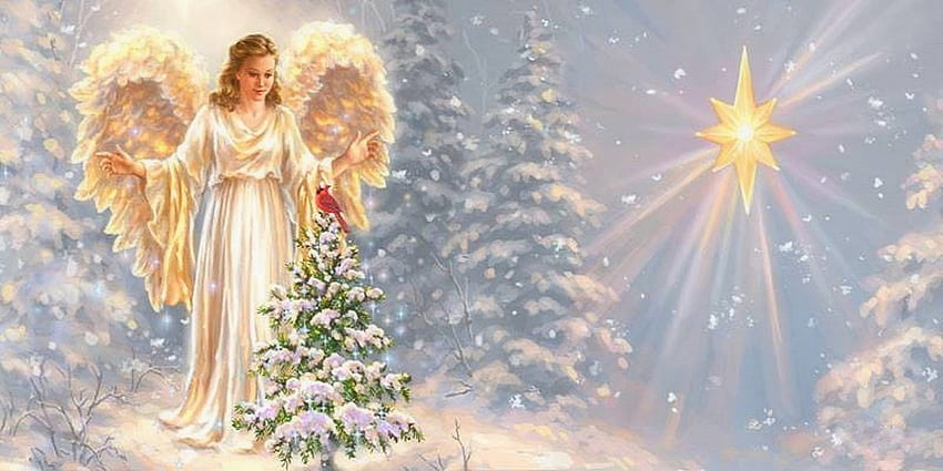 Angel's Blessings, winter, holidays, winter holidays, stars, Christmas Tree, snow, cardinal, wings, New Year, weird things people wear, 2018, angels, love four seasons, fantasy, Christmas, light, xmas and new year HD wallpaper