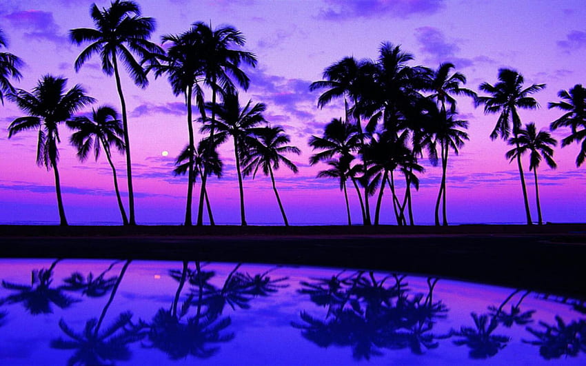 Matahari Terbenam Pantai Ungu Hawaii Wallpaper HD