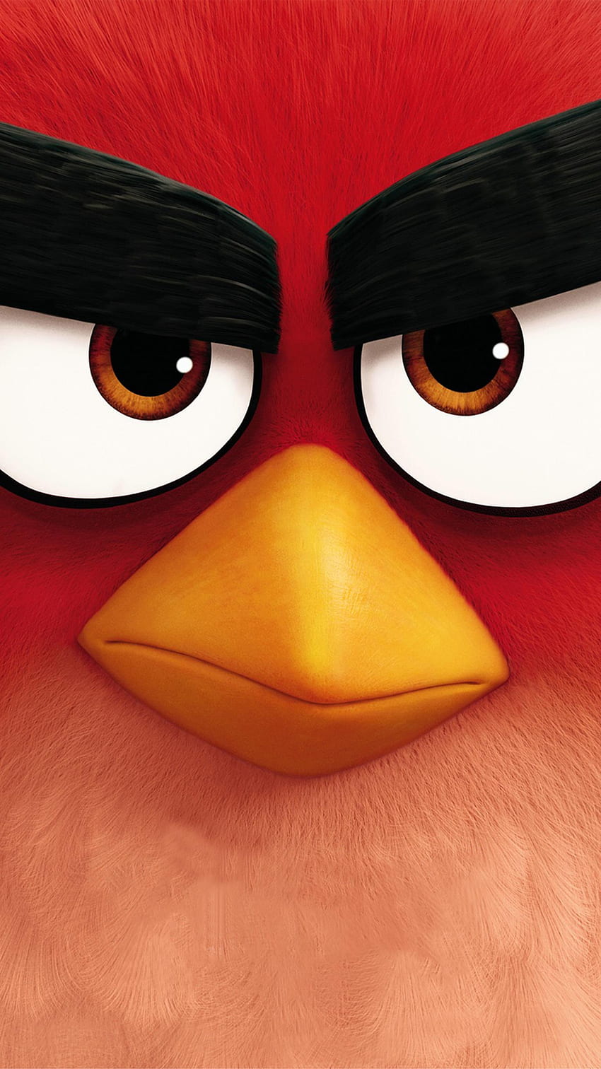 Telepon Film Angry Birds (2016), Angry Birds 3D wallpaper ponsel HD