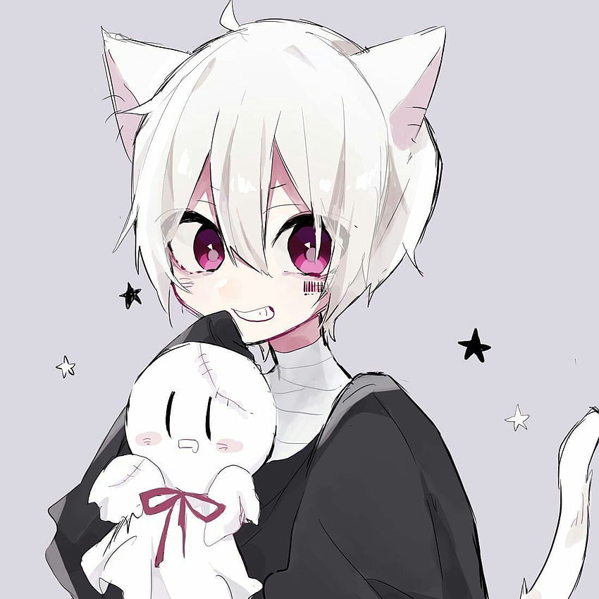 About kitties :33. See more about anime, icon and neko, Anime Catboy, HD  phone wallpaper