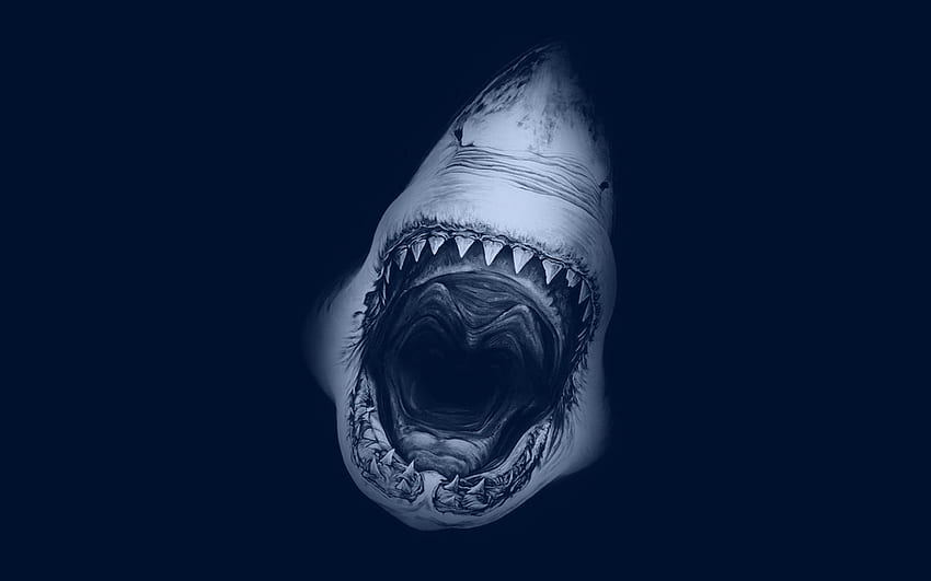 tiburón, depredador, animal aterrador, mandíbulas de tiburón fondo de pantalla