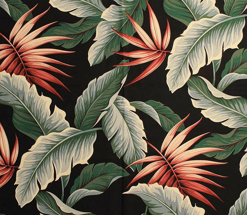 Textura, preto, exótico, papel, verão, flor, verde, vermelho, folha, padrão papel de parede HD