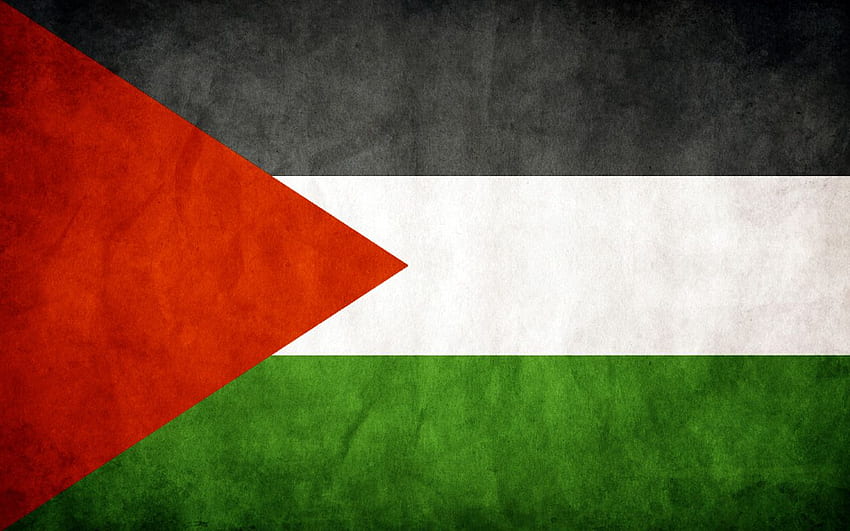 Drapeau grungy Palestine - Fond d'écran HD
