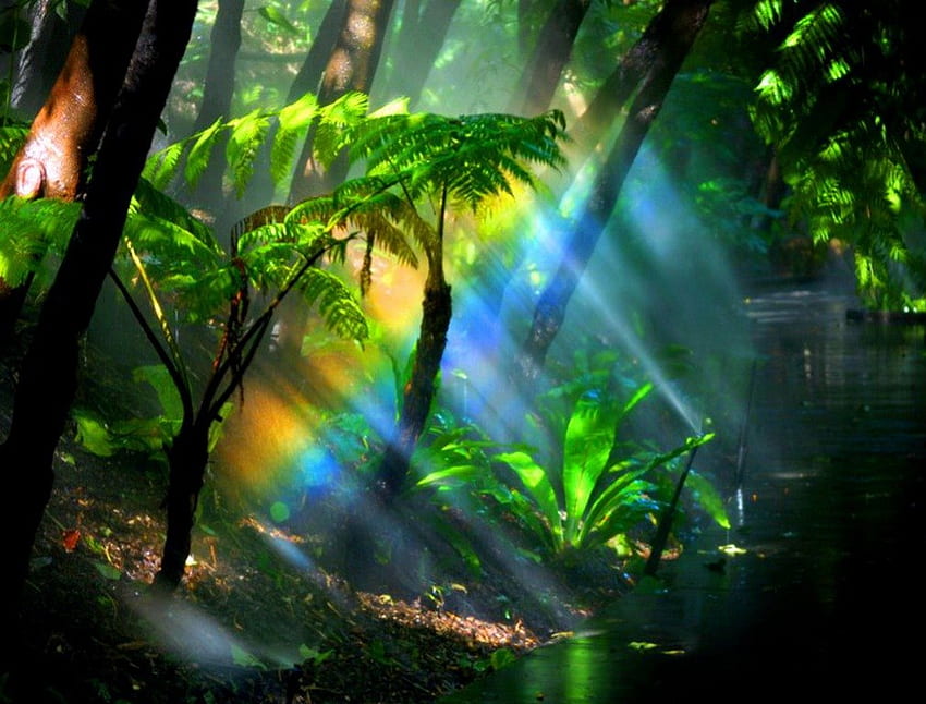 Sonnenstrahlen, Strahlen, Bäume, Sonnenschein, grün HD-Hintergrundbild