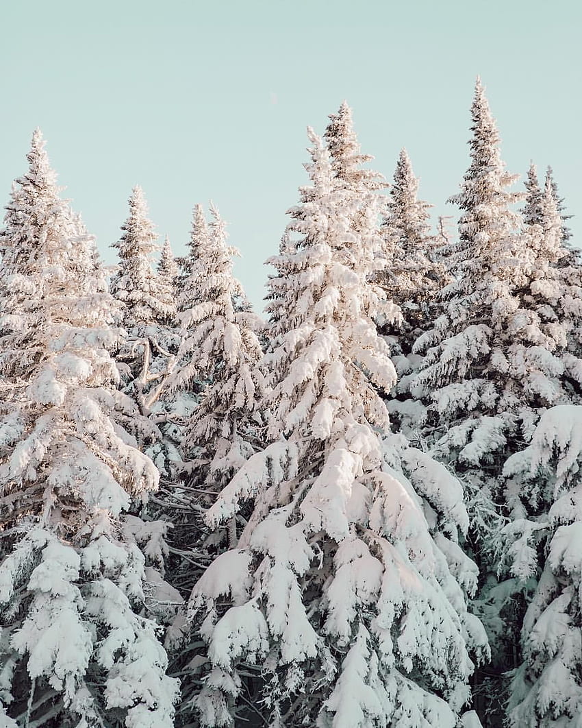 Minggu baru, dan kembali ke semua hantu salju. Sampai jumpa lagi, Vermont. ❄️❄️❄️. Pemandangan, Adegan musim dingin, Estetika musim dingin, Natal Vermont wallpaper ponsel HD