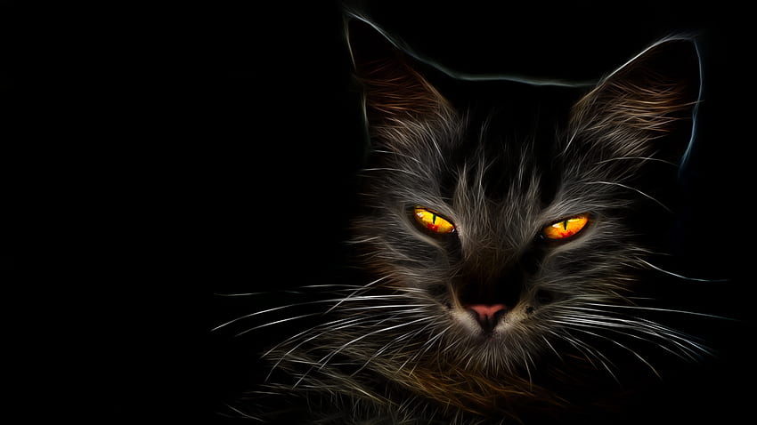 Black Cat with Amber Eyes Retina Ultra HD wallpaper