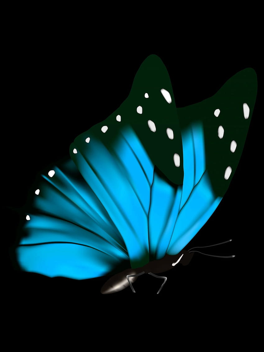 Черна пеперуда, тъмно синя пеперуда HD тапет за телефон