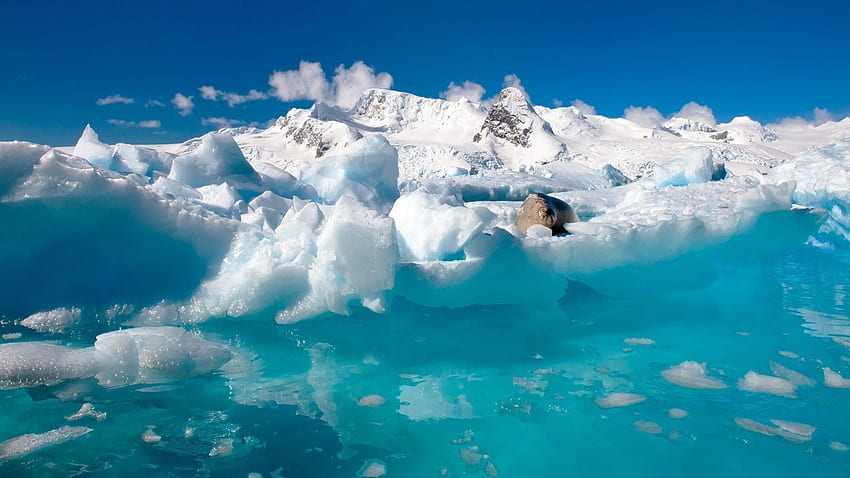 North Pole Arctic. North Pole - - 400179. Ocean , Beautiful nature , Nature, Arctic Ocean Landscape HD wallpaper