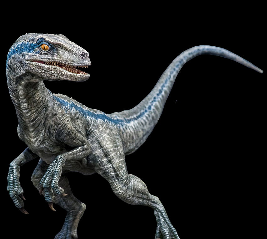 png Velociraptor Biru Transparan! Wallpaper HD