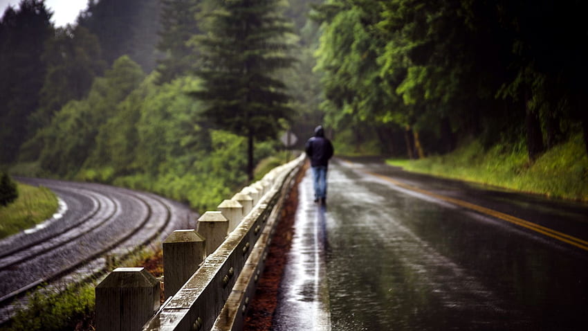 World roads railroad tracks fence people men males mood alone nature, Alone in Rain HD wallpaper