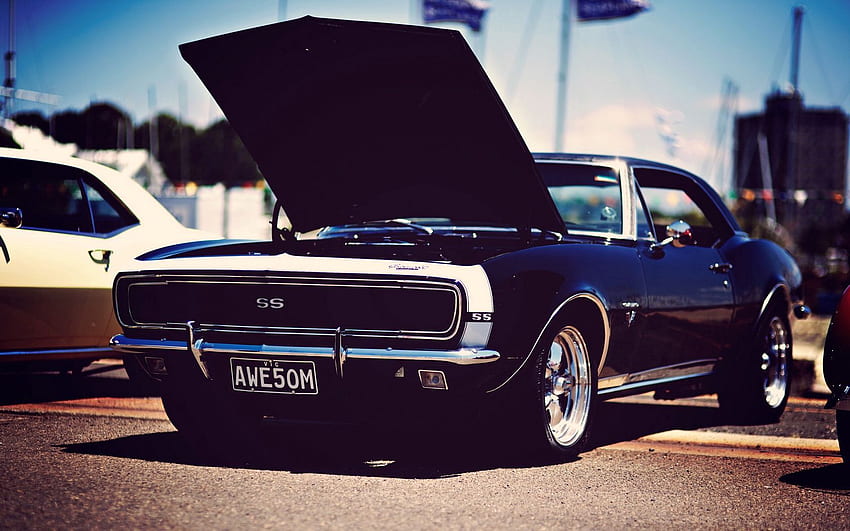 american cars, muscle, stylish, car 16:10 background, Classic Cars 1680X1050 HD wallpaper