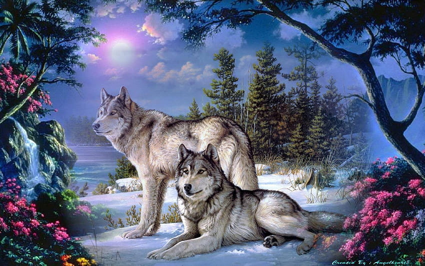lobos na floresta, místico, lobos, fantasia, lobo papel de parede HD