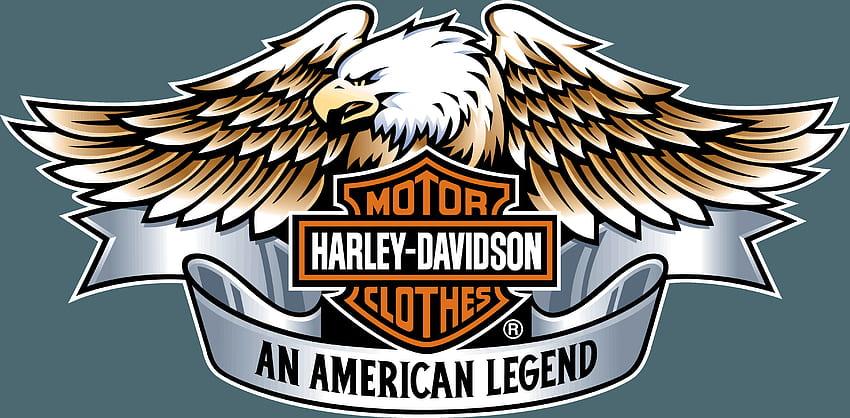 Harley Davidson Logo, Harley-Davidson Eagle HD wallpaper | Pxfuel