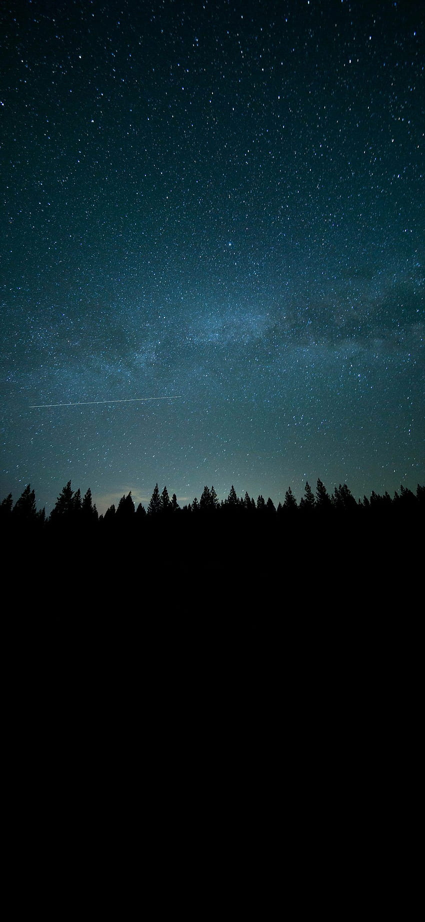 Shooting Star Night Forest. Night forest, Stars at night, Forest HD phone wallpaper