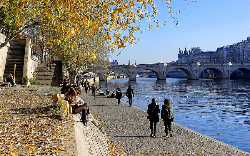 パリの秋、セーヌ川、パリ、遊歩道、秋、フランス、橋 高画質の壁紙