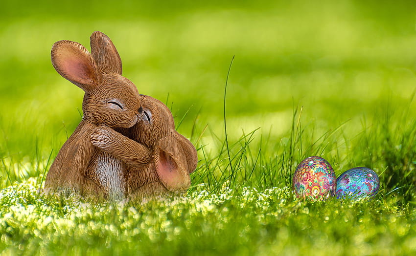 Spring And Easter, Cute Easter Spring HD wallpaper