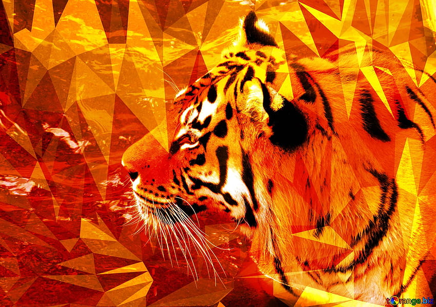 Poligon Harimau Indah Latar Belakang Geometris Abstrak Dengan Segitiga Di CC BY License Stock Fx №201283 Wallpaper HD