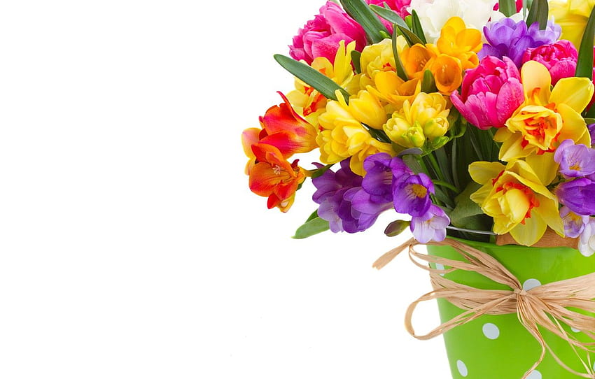colorful, flowers, daffodils, spring, bouquet for , section цветы HD wallpaper