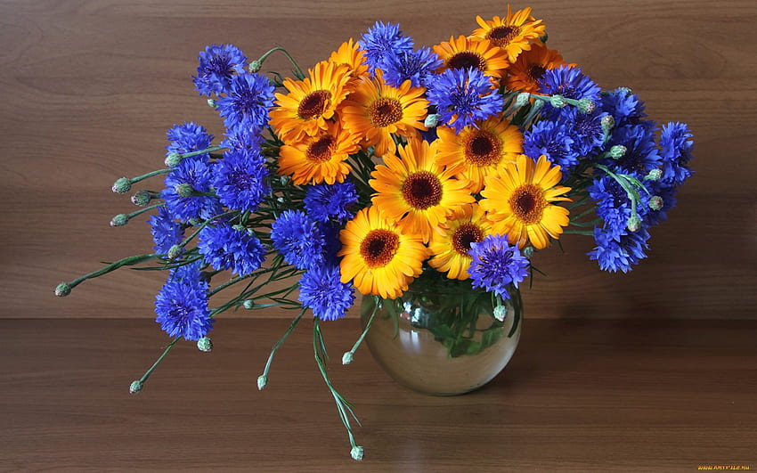 Bouquet con Fiordalisi, fiordalisi, vetro, vaso, fiori gialli Sfondo HD