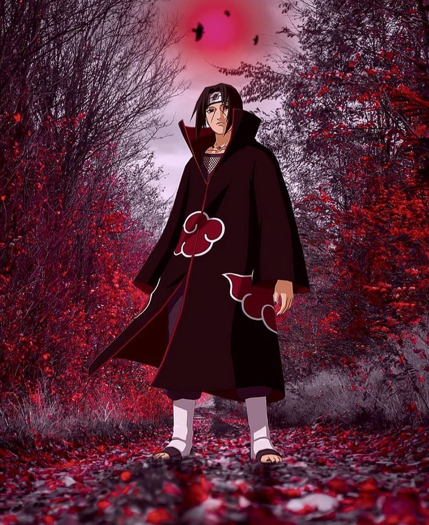 Itachi Uchiha, naruto, anime HD phone wallpaper | Pxfuel