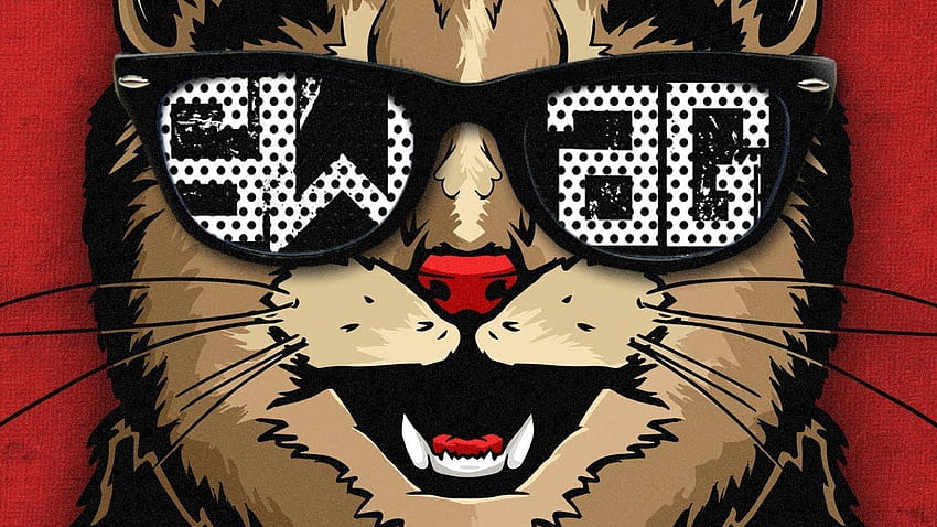 Swag , Artistic, HQ Swag . 2019, Swag Cat HD wallpaper